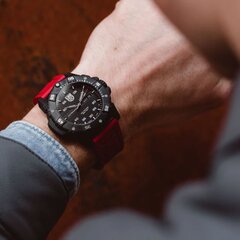 Luminox Master Carbon SEAL Automatic XS.3875 XS.3875 цена и информация | Мужские часы | kaup24.ee