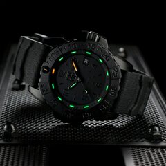 Мужские часы Luminox XS.3251.BO.CB цена и информация | Мужские часы | kaup24.ee