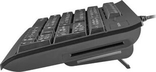 Natec NKL-1055 цена и информация | Клавиатура с игровой мышью 3GO COMBODRILEW2 USB ES | kaup24.ee