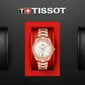 Naiste käekell Tissot PR 100 Sport Chic T101.910.33.116.00 цена и информация | Naiste käekellad | kaup24.ee