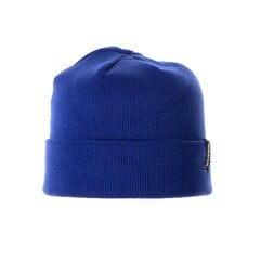 Детская шапка Huppa Ever 94450000*70035, синяя 4741632130999 цена и информация | Шапки, перчатки, шарфы для мальчиков | kaup24.ee