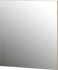Peegel 2791, pruun цена и информация | Подвесные зеркала | kaup24.ee