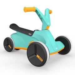 BERG roller цена и информация | Игрушки для малышей | kaup24.ee