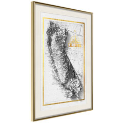 Poster Raised Relief Map: California, kuldne raam koos paspartuuga цена и информация | Картины, живопись | kaup24.ee