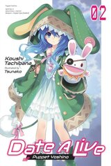 Date A Live, Vol. 2 (light novel) hind ja info | Romaanid | kaup24.ee