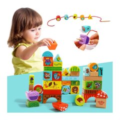 Tooky Toy puidust klotside komplekt, metsa teema цена и информация | Развивающие игрушки | kaup24.ee