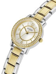 Käekell Guess GW0468L4 цена и информация | Женские часы | kaup24.ee