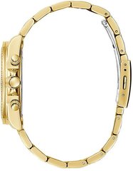 Часы Guess GW0483L4 цена и информация | Женские часы | kaup24.ee