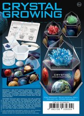 Развивающая игрушка 4M Growing Crystals: синие кристаллы цена и информация | Развивающие игрушки и игры | kaup24.ee