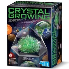 Развивающая игрушка 4M Growing Crystals: зеленые кристаллы цена и информация | Развивающие игрушки и игры | kaup24.ee