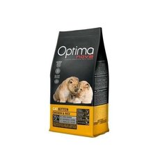 Kasside kuivtoit Optima nova Cat Kitten, kassidele kuni 1 aasta, 8 kg цена и информация | Сухой корм для кошек | kaup24.ee