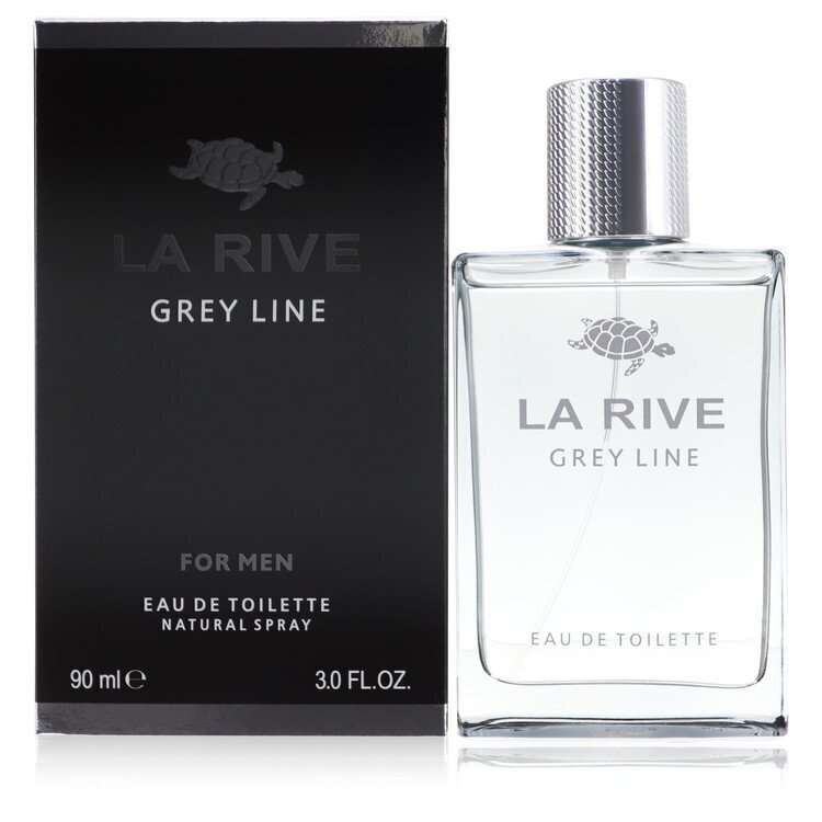 La Rive Grey Line For Man EDT meestele 90 ml цена и информация | Meeste parfüümid | kaup24.ee