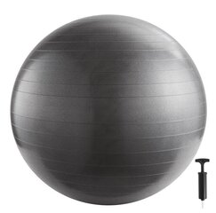 Võimlemispall 65cm, koos pumbaga цена и информация | Гимнастические мячи | kaup24.ee