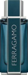 Parfüümvesi Salvatore Ferragamo Intense Leather EDP meestele 100 ml hind ja info | Salvatore Ferragamo Kosmeetika, parfüümid | kaup24.ee