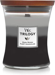 WoodWick lõhnaküünal Trilogy Fireside, Redwood, Sandalwood Clove, 275 g цена и информация | Подсвечники, свечи | kaup24.ee