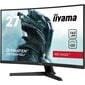 Iiyama G-Master Curved Monitor G2766HSU-B1 hind ja info | Monitorid | kaup24.ee