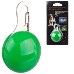 Lilware, LED Dog, Koera helkur, roheline hind ja info | Kaelarihmad ja traksid koertele | kaup24.ee
