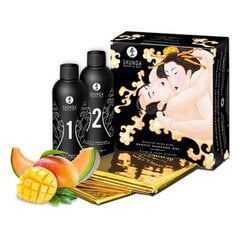 Набор гелей для массажа Melone & Mango Shunga - Oriental Body-to-Body, 500 мл цена и информация | Массажные масла | kaup24.ee