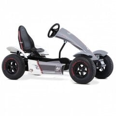 Картинг BERG Pedal XL Race GTS FULL SPEC BFR цена и информация | Игрушки для мальчиков | kaup24.ee
