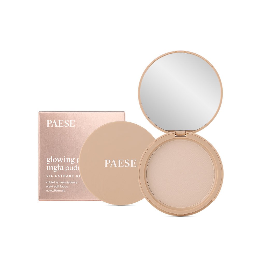 Biri pudra paese Glowing Powder 11 Light Beige, 10g цена и информация | Jumestuskreemid, puudrid | kaup24.ee