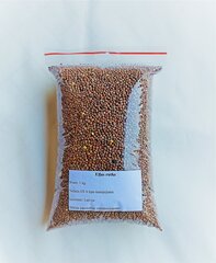 Õlirõika seemned, 1 kg hind ja info | Murusegud | kaup24.ee