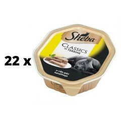 Kassikonservid Sheba, kanaga, 85 g x 22 tk hind ja info | Konservid kassidele | kaup24.ee