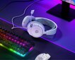 SteelSeries Arctis Nova 1 цена и информация | Kõrvaklapid | kaup24.ee