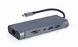 Gembird A-CM-COMBO7-01 цена и информация | USB jagajad, adapterid | kaup24.ee