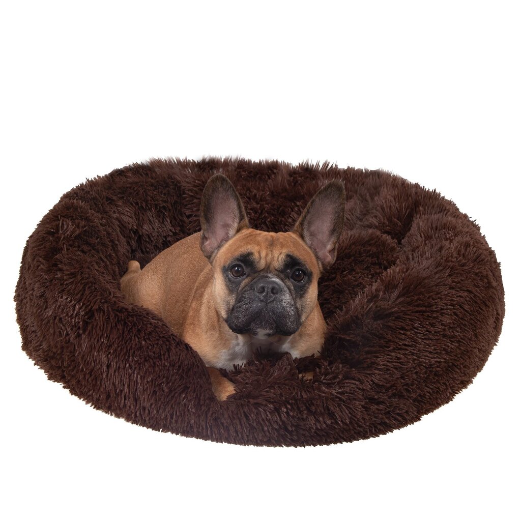 Koera või kassi voodi Springos PA0141 60 cm hind ja info | Pesad, padjad | kaup24.ee