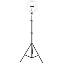 Selfie rõngasvalgusti Iggual IGG317242 Ø 25 cm hind ja info | Fotovalgustuse seadmed | kaup24.ee