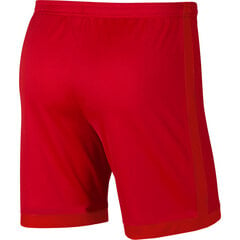 Meeste lühikesed püksid Nike Dri-FIT Academy punane aJ9994 657 hind ja info | Meeste spordiriided | kaup24.ee