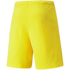 Мужские шорты Puma team Rise Short Кибер желтый 704942 07 цена и информация | Мужская спортивная одежда | kaup24.ee