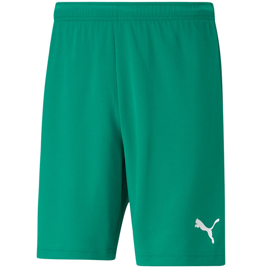 Meeste lühikesed püksid Puma teamRISE Short green 704942 05 hind ja info | Meeste spordiriided | kaup24.ee