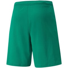 Meeste lühikesed püksid Puma teamRISE Short green 704942 05 hind ja info | Meeste spordiriided | kaup24.ee