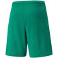 Meeste lühikesed püksid Puma teamRISE Short green 704942 05 hind ja info | Meeste spordiriided | kaup24.ee