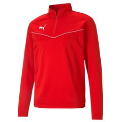 Мужской прыгун Puma teamRise 1 4 Zip Топ красный 657394 01 цена и информация | Мужская спортивная одежда | kaup24.ee