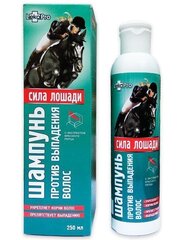 Šampoon juuste väljalangemise vastu Horse Power, 250 ml цена и информация | Шампуни | kaup24.ee