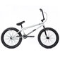 Tall Order Ramp 20'' 2022 BMX Freestyle Bike, valge цена и информация | Jalgrattad | kaup24.ee