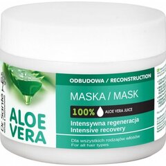 Intensiivselt taastav Aaloe juuksemask Dr. Sante, 1000 ml цена и информация | Маски, масла, сыворотки | kaup24.ee