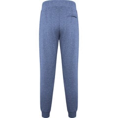 Püksid Iria, sinine цена и информация | Мужские брюки | kaup24.ee