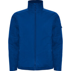 Куртка мужская UTAH синяя цена и информация | Мужские толстовки | kaup24.ee