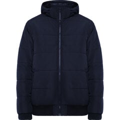 Мужская куртка SURGUT темно-синяя цена и информация | Мужские толстовки | kaup24.ee
