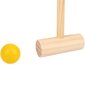 Laste puidust kriketikomplekt hind ja info | Arendavad mänguasjad | kaup24.ee