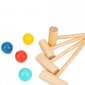 Laste puidust kriketikomplekt hind ja info | Arendavad mänguasjad | kaup24.ee