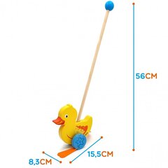 Puidust pardipoeg koordineerimiseks hind ja info | Imikute mänguasjad | kaup24.ee