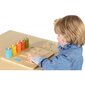 Puidust värvi- ja numbrite sorteerija цена и информация | Imikute mänguasjad | kaup24.ee