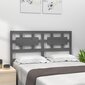 vidaXL voodipeats, hall, 156 x 4 x 100 cm, männipuit hind ja info | Voodid | kaup24.ee