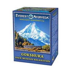 Everest Ayurveda Gokshura Гималайский рассыпной чай, 100 г цена и информация | Чай | kaup24.ee