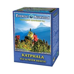 Everest Ayurveda Katphala Himaalaja lahtine tee, 100 g hind ja info | Tee | kaup24.ee