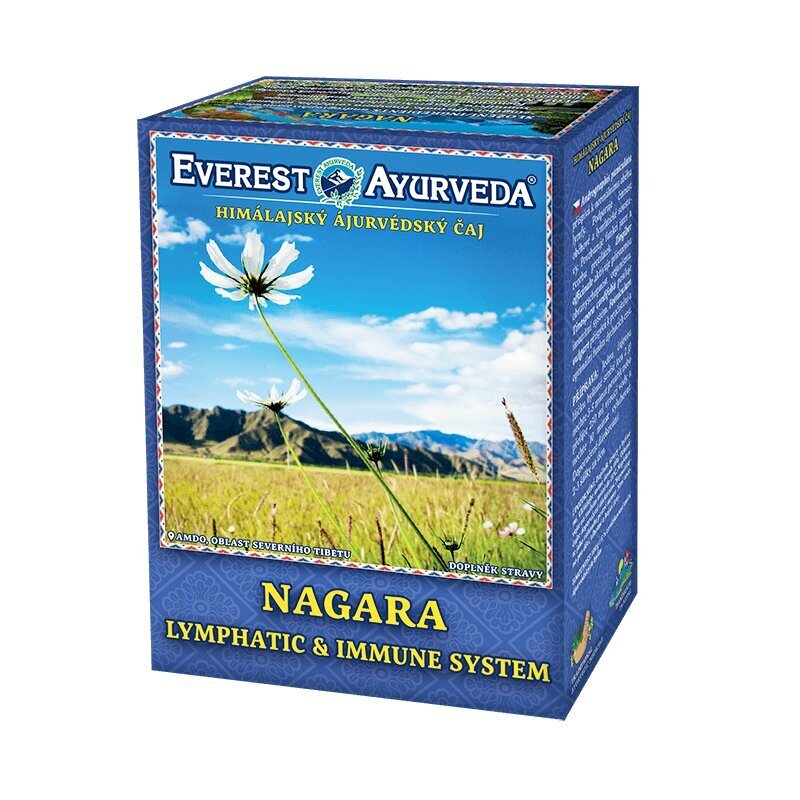 Himaalaja lahtine tee Everest Ayurveda Nagara, 100 g hind ja info | Tee | kaup24.ee
